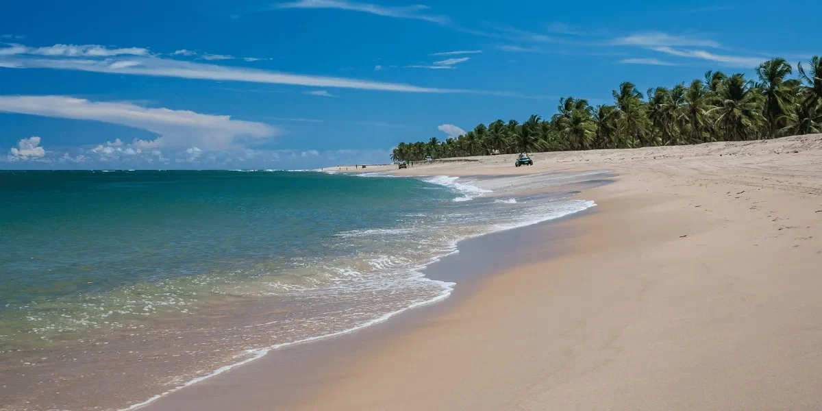 A capital alagoana tem atraído cada vez mais turistas, consolidando-se como um dos principais destinos turísticos do Nordeste, graças a investimentos contínuos em infraestrutura, sustentabilidade e promoção cultural.